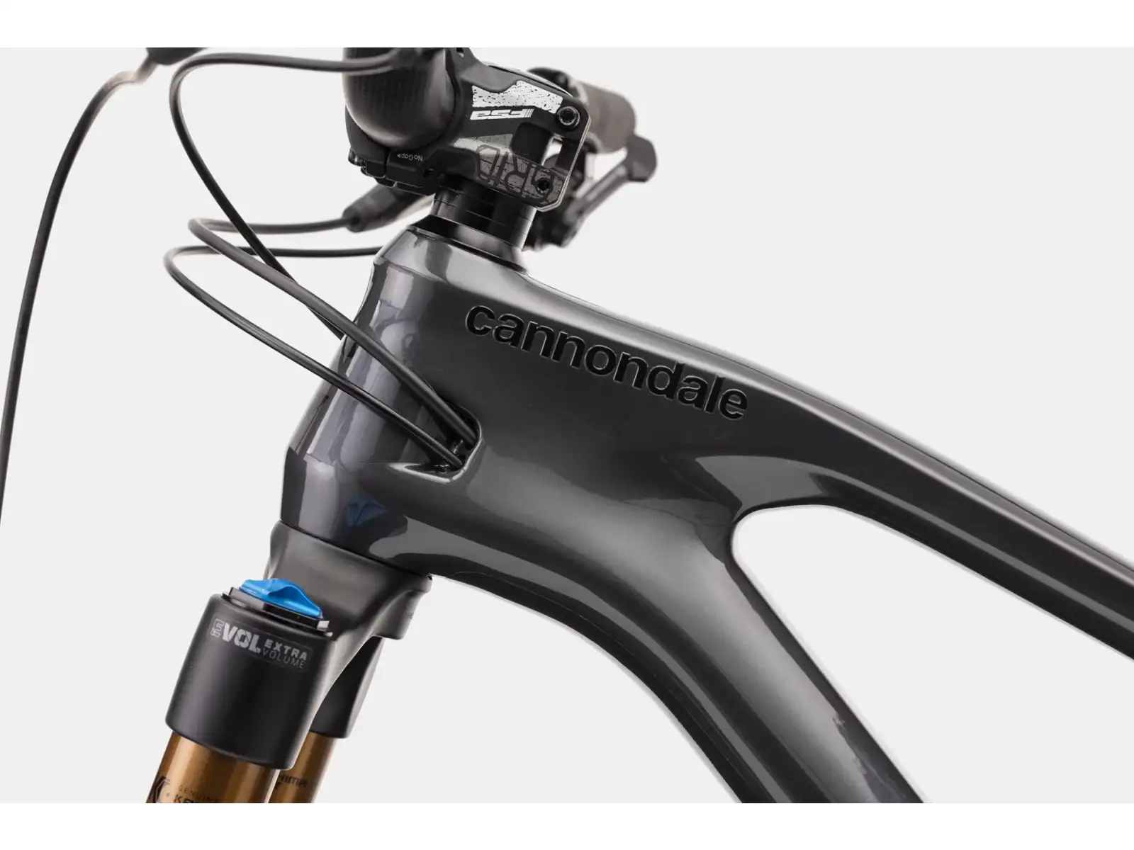 Cannondale Jekyll 29 Carbon 1 mountain full suspension bike Graphite