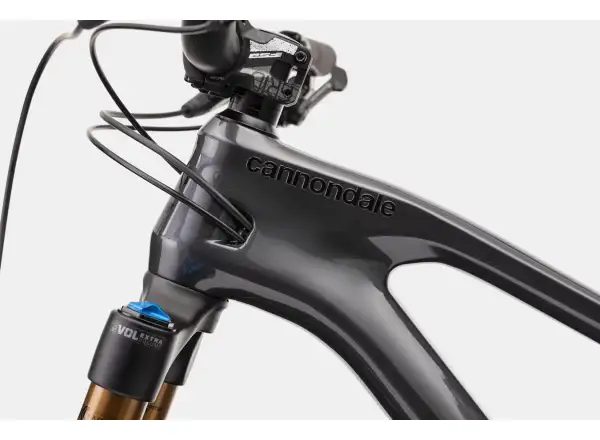 Cannondale Jekyll 29 Carbon 1 mountain full suspension bike Graphite
