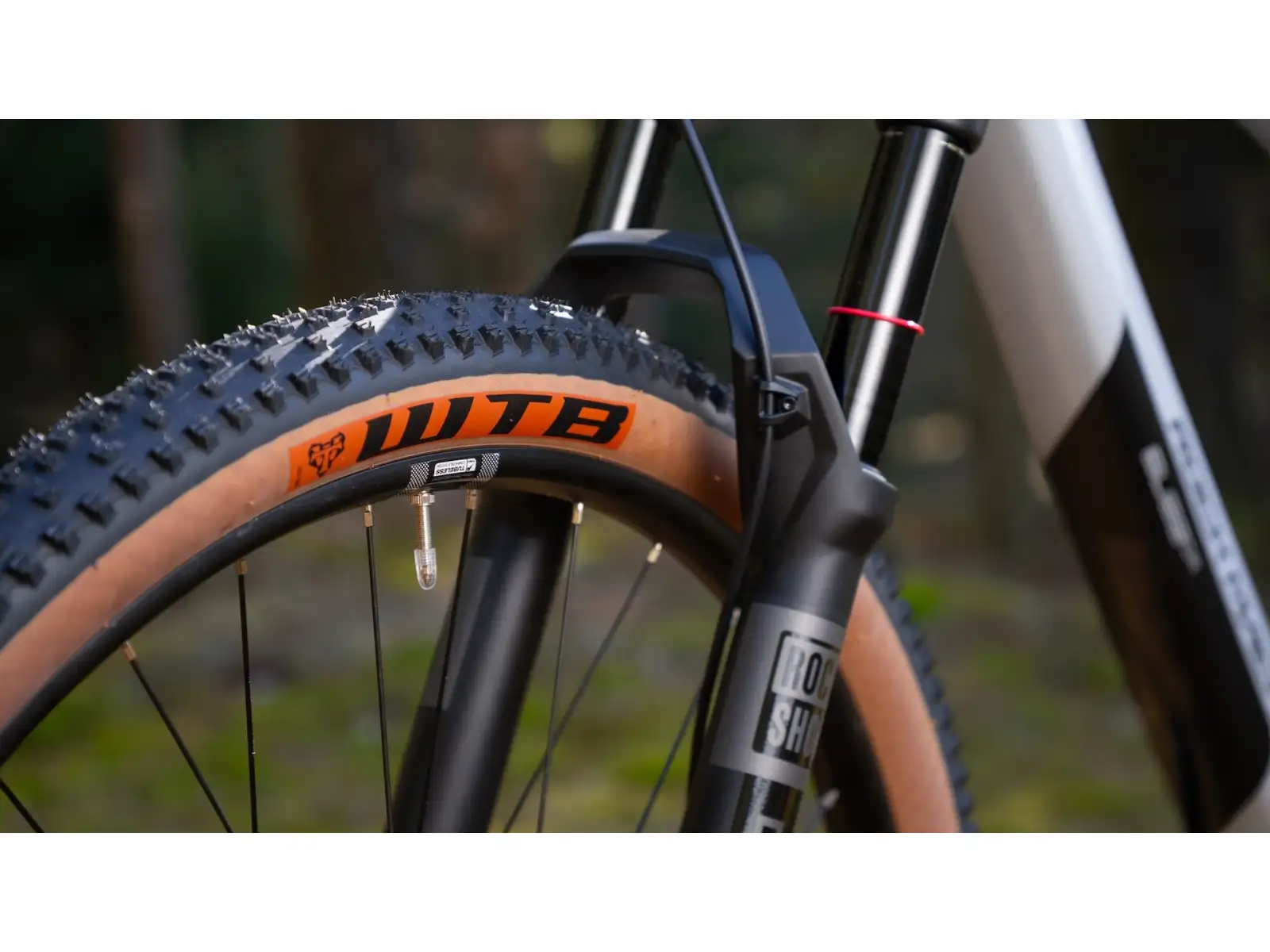 Rock Machine Blizz Cr 70 mountain bike Gloss Limerock Grey