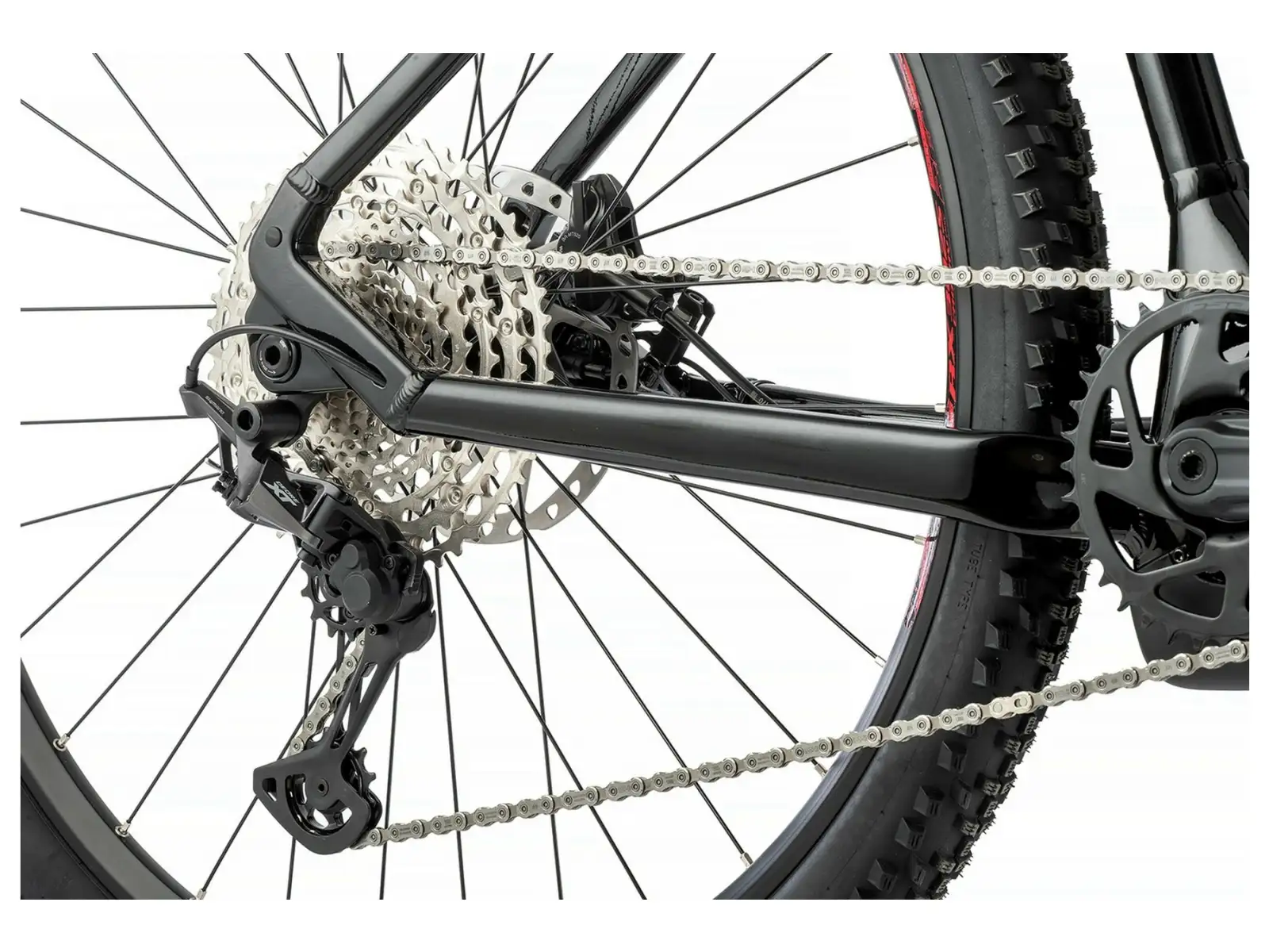 Apache Hupahu 2 Bosch 1000 Wh mountain e-bike black