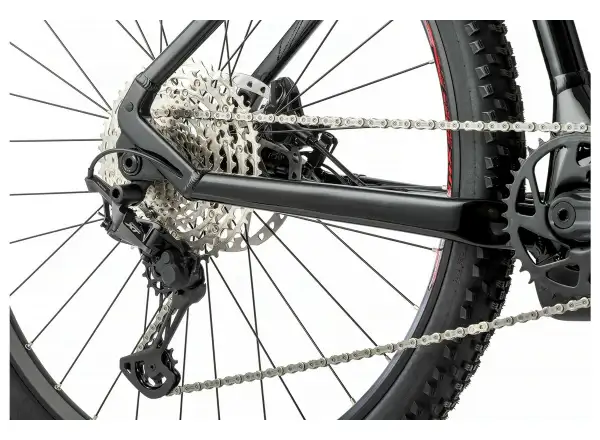 Apache Hupahu 2 Bosch 1000 Wh mountain e-bike black