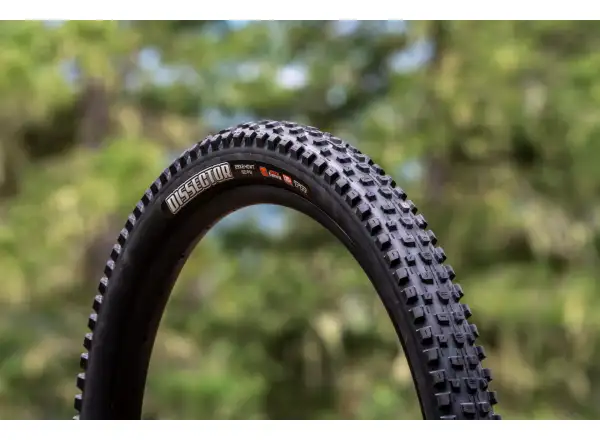 Maxxis Dissector G2 MaxxTerra/Exo+/TR 29x2,40" MTB tire kevlar