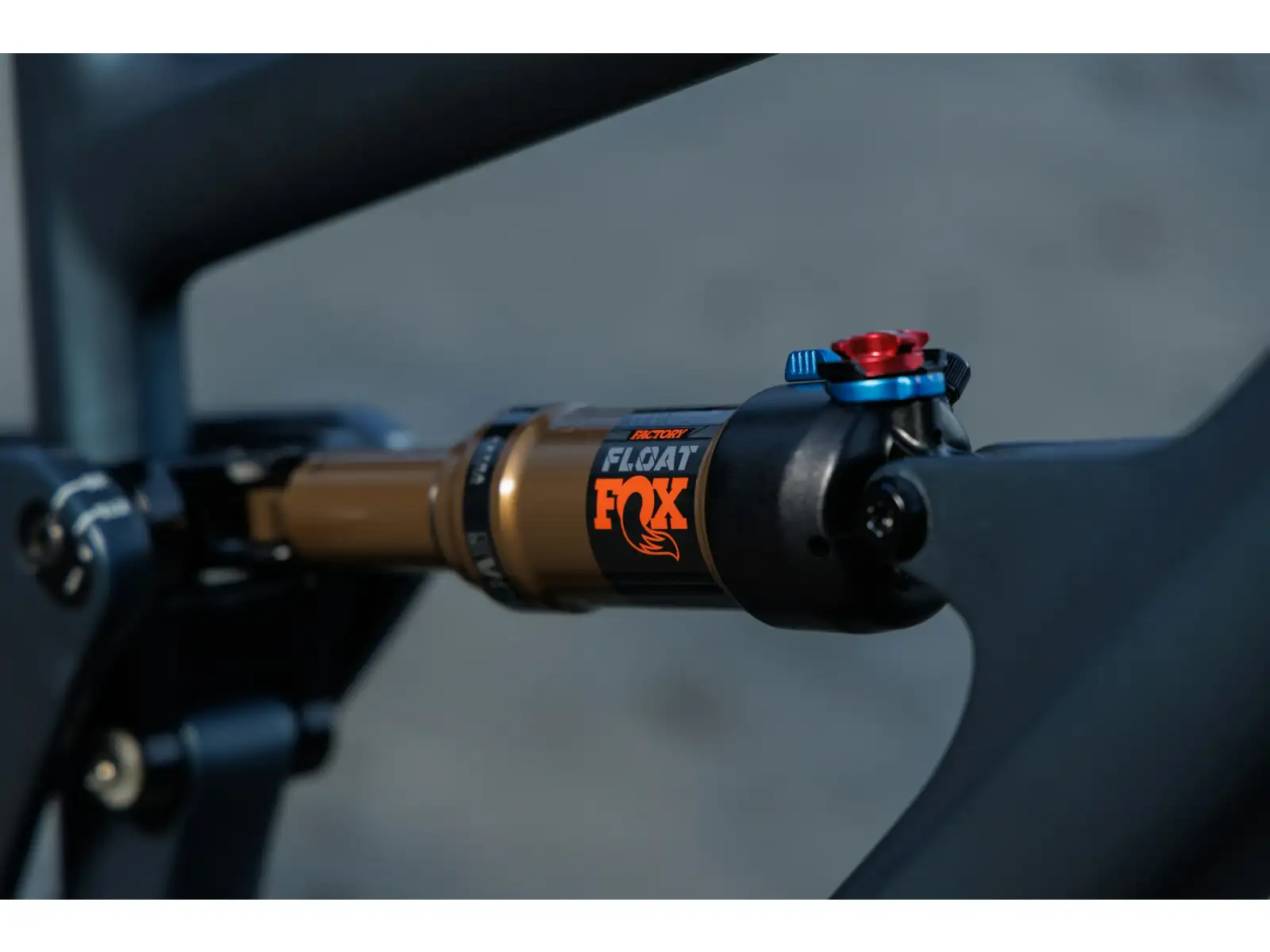 Ibis Ripley V5 XTR Di2 mountain bike Blue Hour