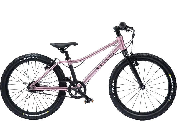 Rascal 20 children's bicycle Raspberry