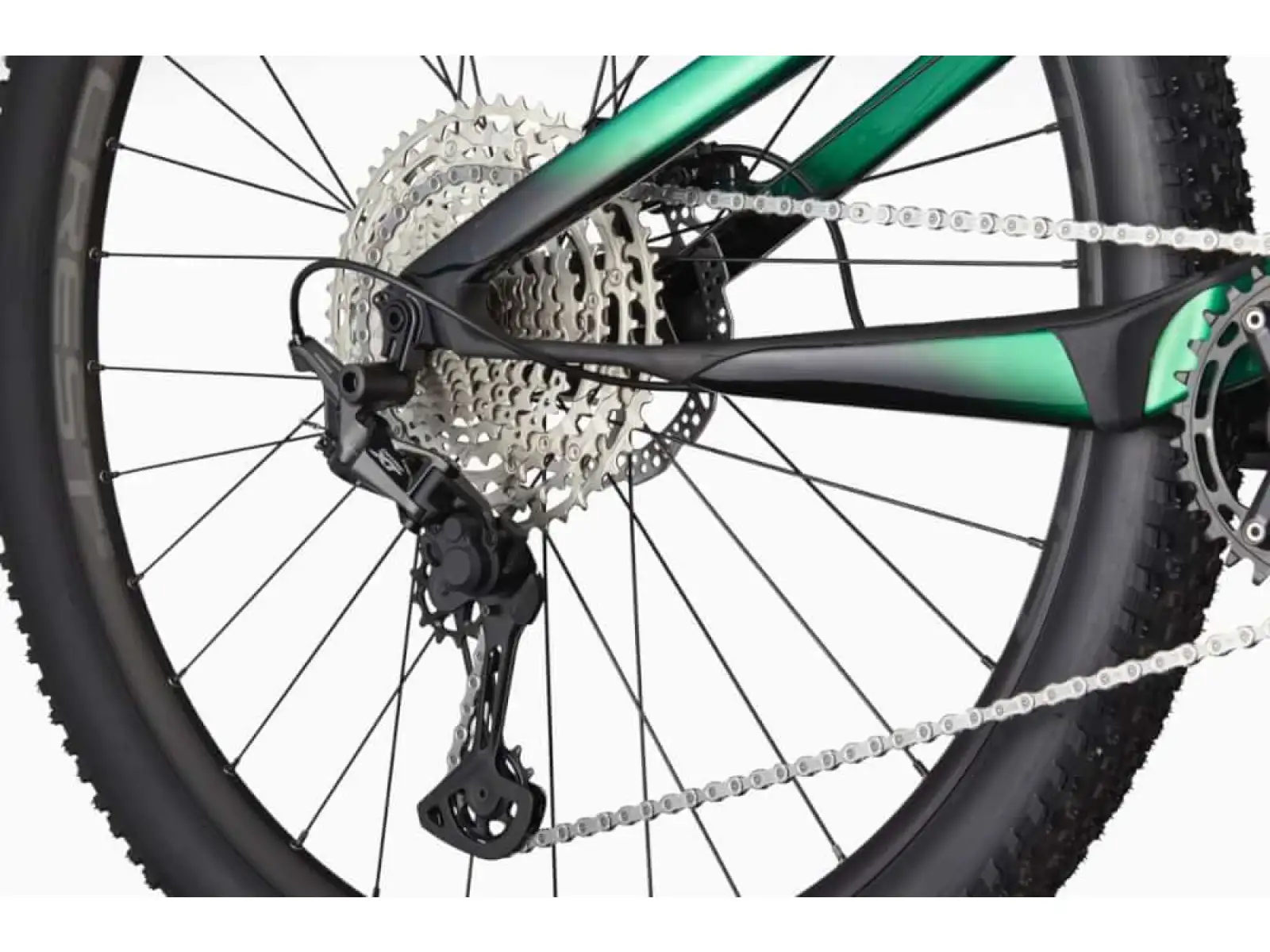Cannondale Scalpel Carbon 4 mountain bike Jungle Green