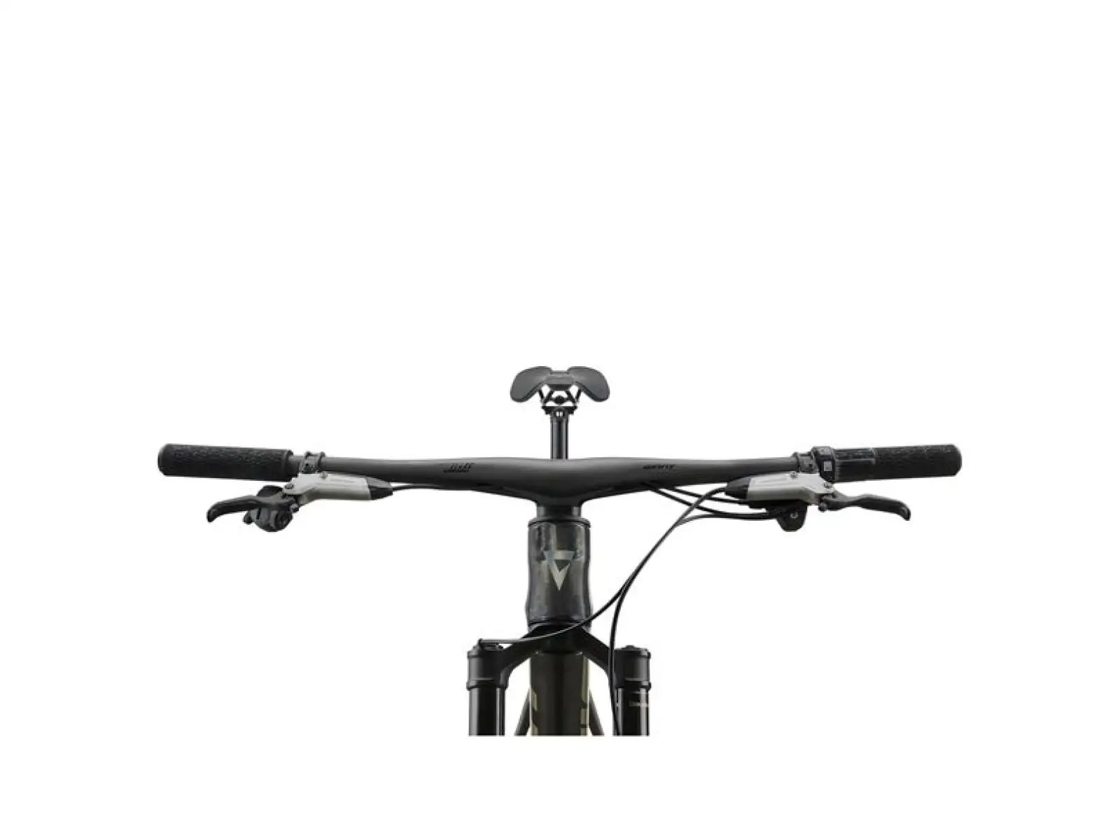 Giant Anthem Advanced 0 full suspension mountain bike Raw Carbon