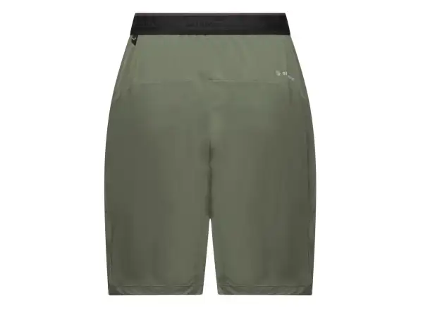 Salewa Pedroc 2 Durastretch women's shorts Faded Green