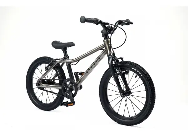 Rascal 16 children's bike Titanium