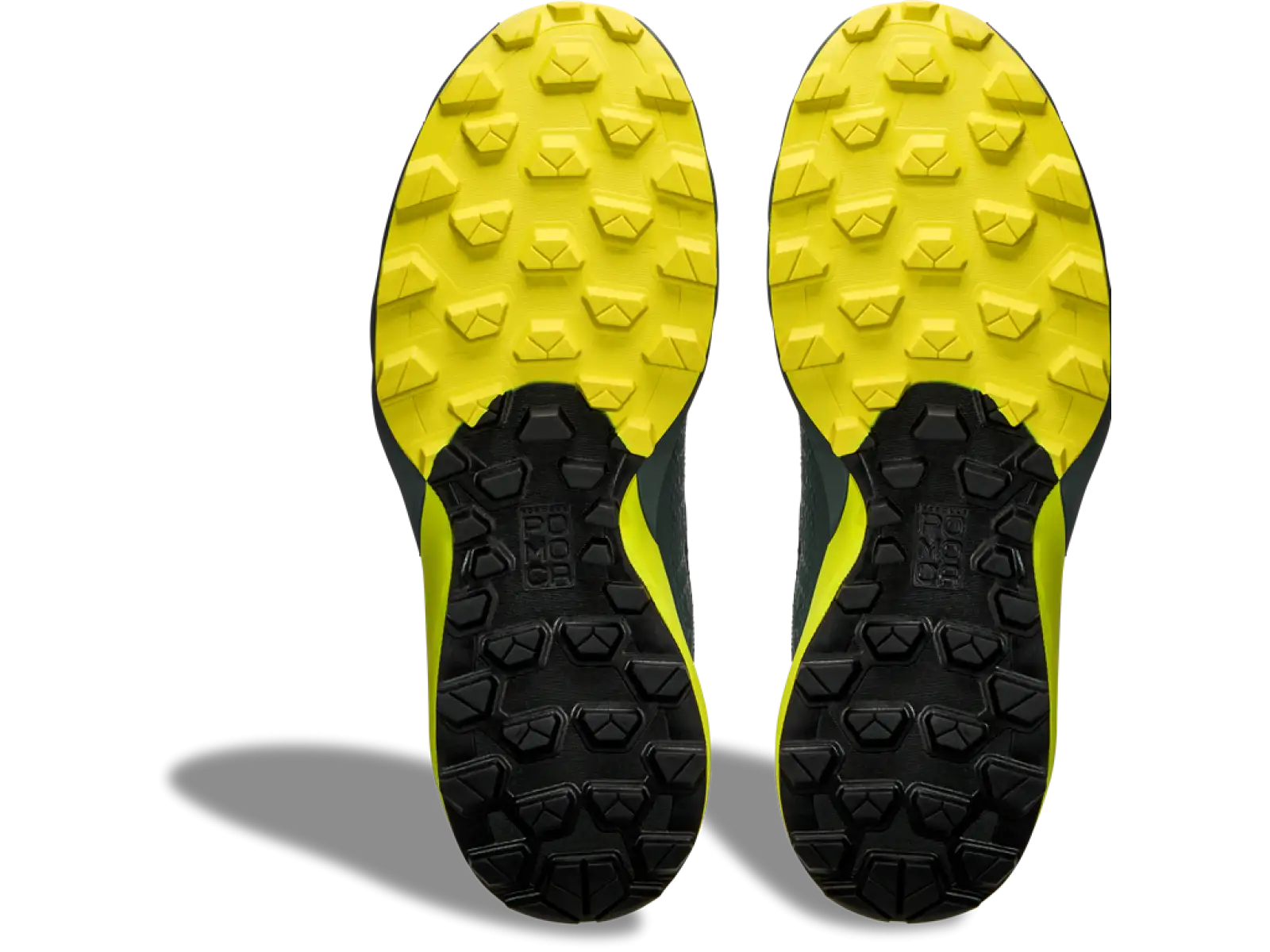 Dynafit Ultra GTX men's running shoes Hurricane/Black Out