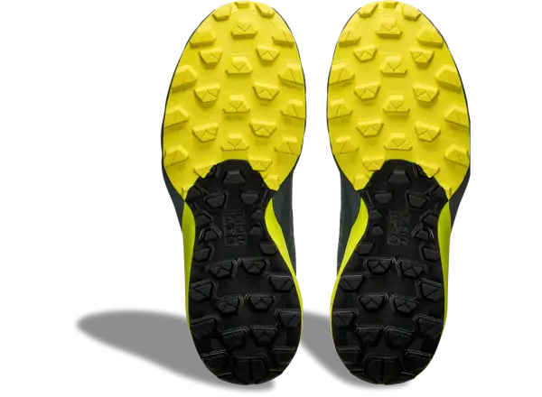 Dynafit Ultra GTX men's running shoes Hurricane/Black Out