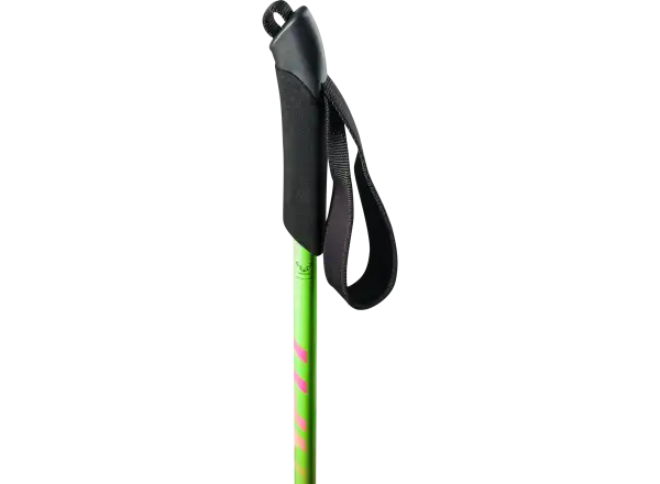 Dynafit DNA Pole Nimbus