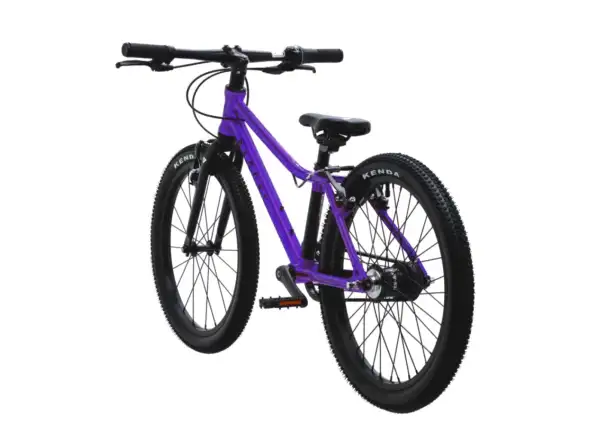 Rascal 20 children's bike Amethyst Limited