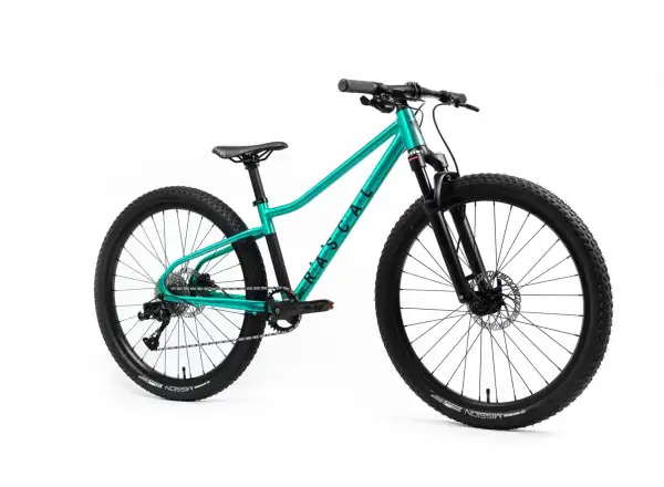 Rascal Wild 26 children's bike Emerald