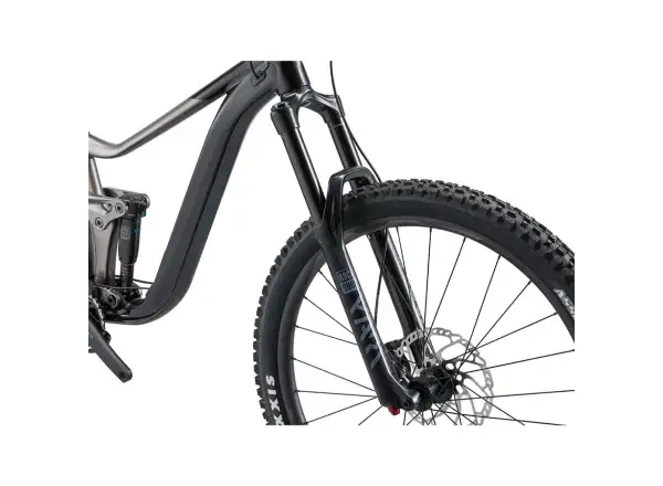 Giant Reign 2 mountain bike black/metal