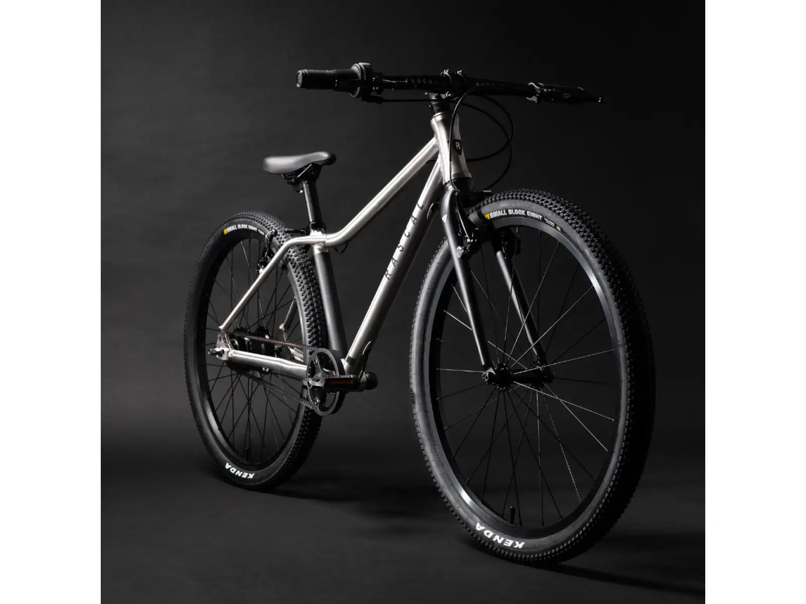 Rascal 24 7 sp. Shimano Nexus kids bike Titanium