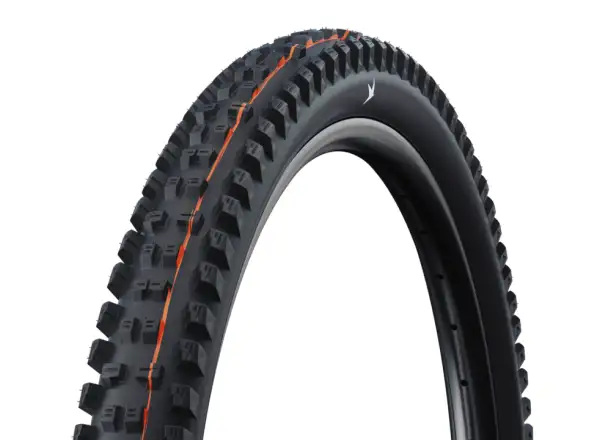 Schwalbe Tacky Chan tire kevlar