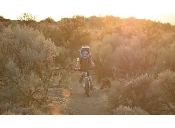 Early Rider Seeker X16 children's bike Sage Green