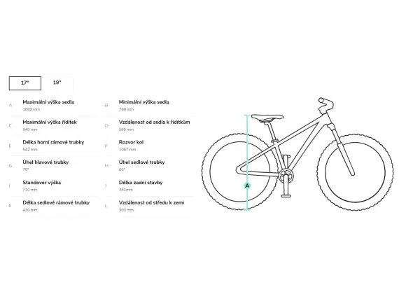 Beany Zero 29 children's bike Gray