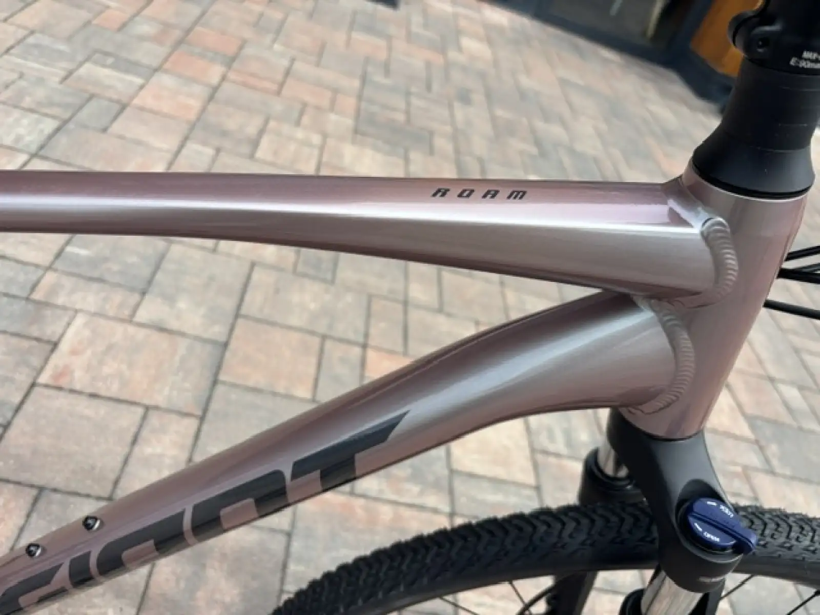 Giant Roam 3 trekking bike Shell White