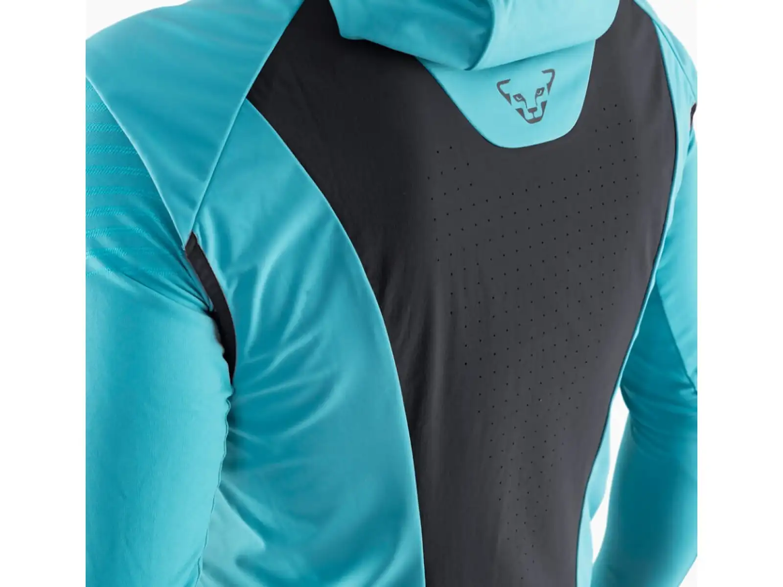 Dynafit Speed Softshell men's vest Storm Blue