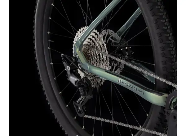 4EVER Exstream Team 820 mountain e-bike Snake green/hologram