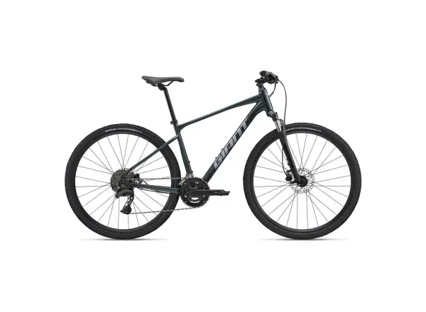 Giant Roam 2 Asphalt trekking bike Green
