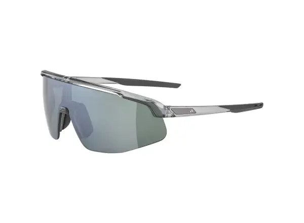 Alpina Turbo PRO Q-lite glasses Grey Transparent Gloss
