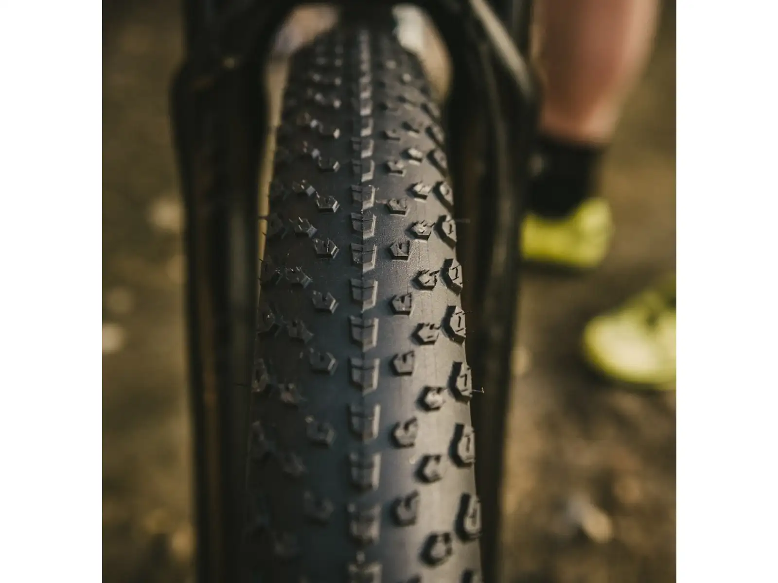 Goodyear Peak SL Race Tubeless Complete 29x2.25" MTB tire kevlar