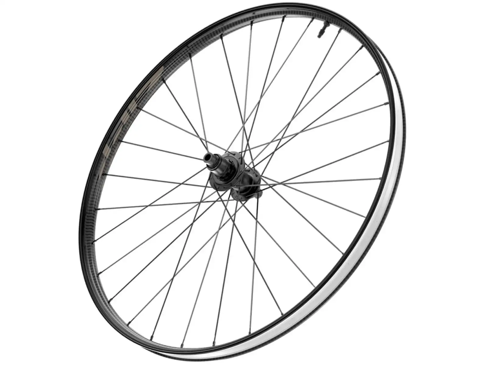 Zipp 101 XPLR Carbon Disc TL CL 12x142 mm rear wheel Kwiqsand