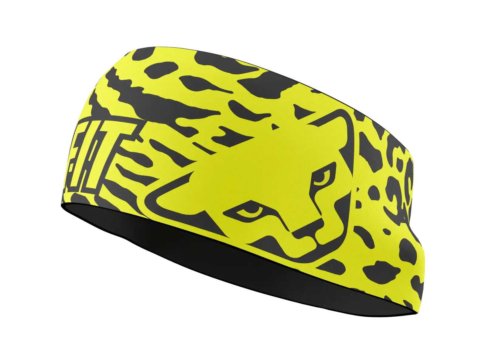 Dynafit Graphic Performance headband Cabana/Gradient