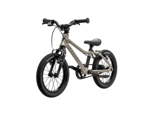 Rascal 14 children's bike Titanium