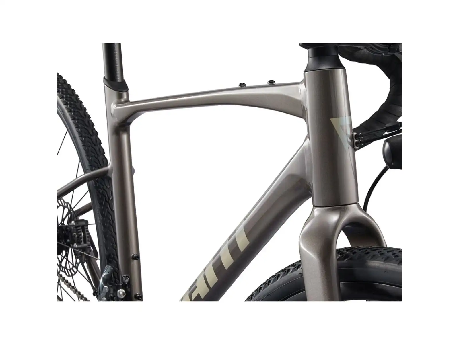 Giant Revolt 1 gravel bike Metal