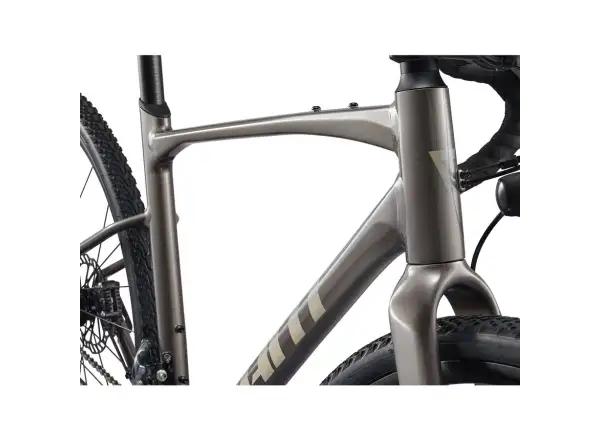 Giant Revolt 1 gravel bike Metal