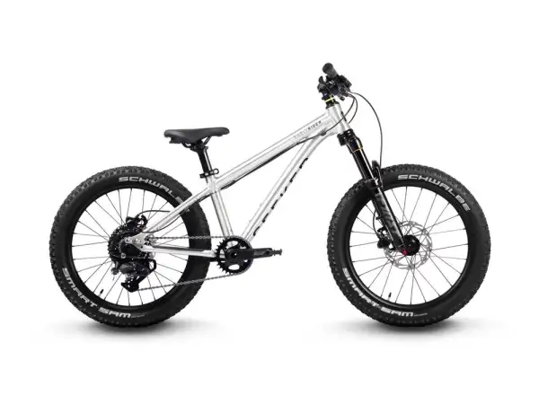 Early Rider Seeker X20 children's bicycle Brushed Aluminium 2025
