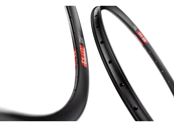 DT Swiss EX 441 29" MTB rim black