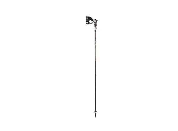 Leki Carbon 14 S alpine poles black/white/red/anthracite