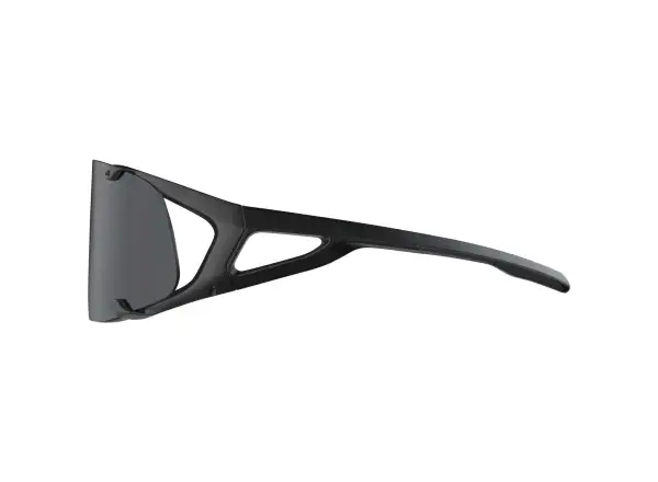 Alpina Hawkeye glasses All Black Matt