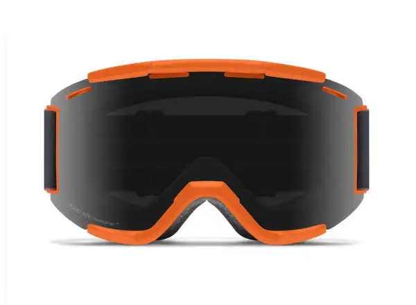 Smith Squad MTB downhill goggles High Fives