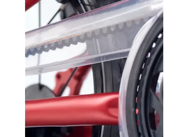 Academy Grade 2 Belt kids bike 14" red