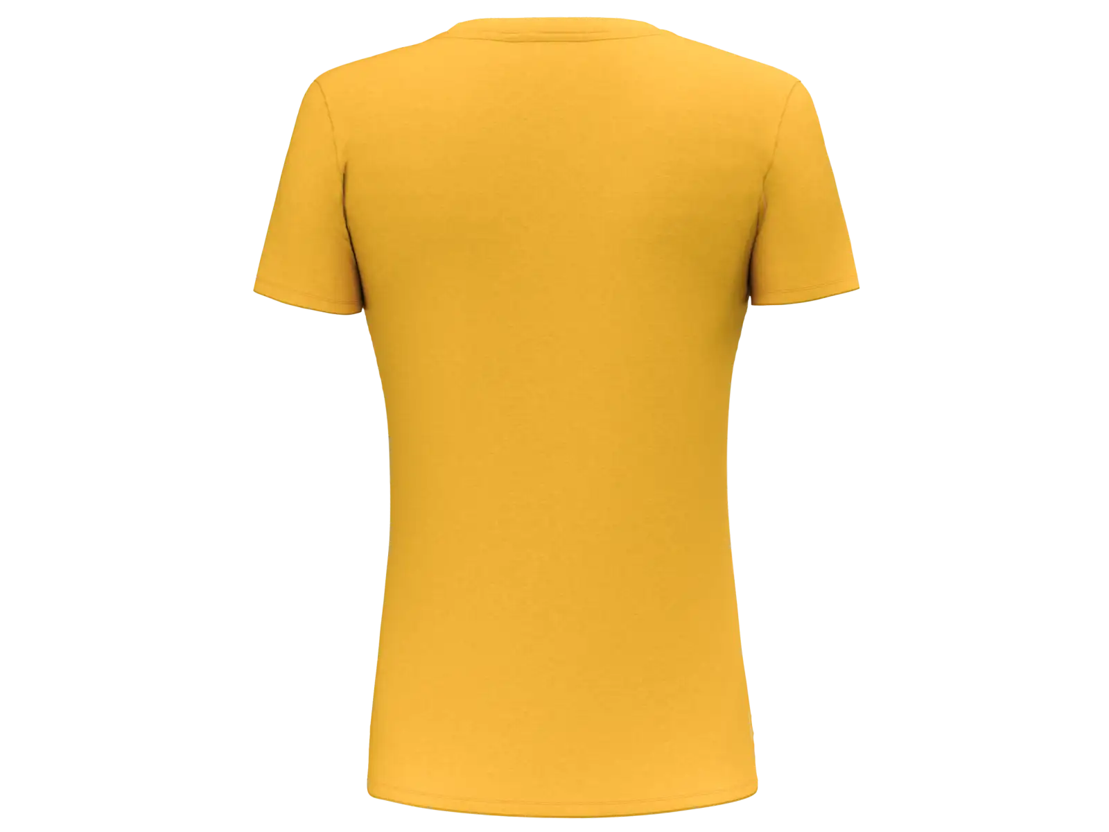 Salewa Pure Eagle Frame Dry women's short sleeve T-shirt Gold Melange