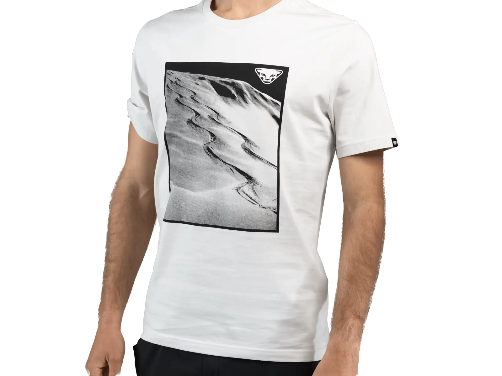 Dynafit Graphic Cotton men's T-shirt short sleeve Nimbus/First Track