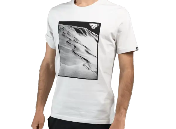 Dynafit Graphic Cotton men's T-shirt short sleeve Nimbus/First Track