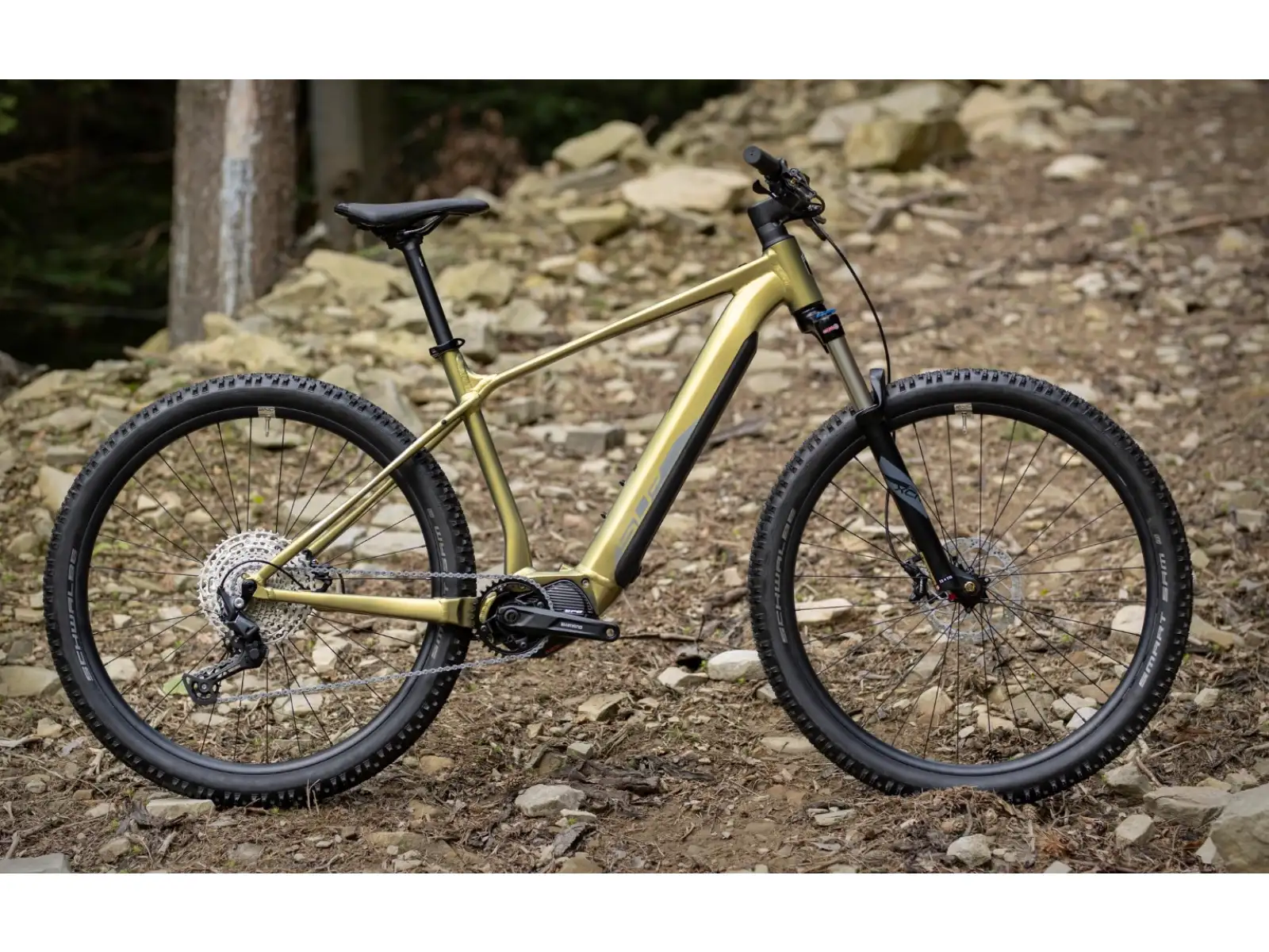 Superior eXP 8089 mountain e-bike Matte Olive Metallic/Chrome Silver