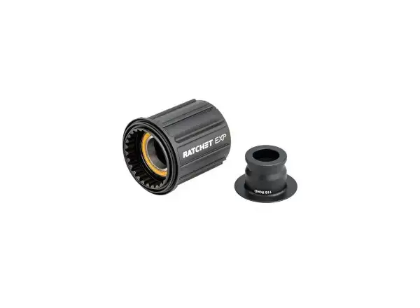 DT Swiss spare freehub Ratchet EXP Shimano 12s with end cap