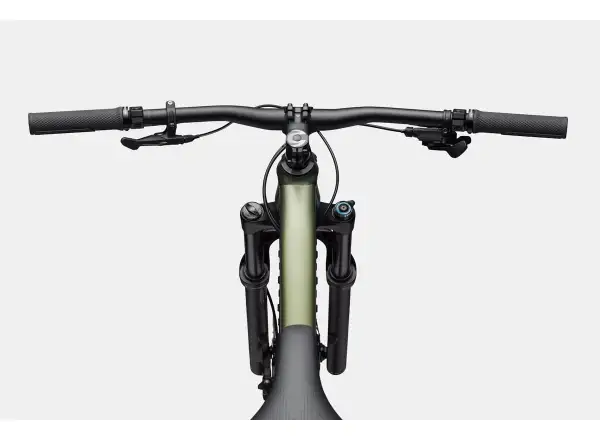 Cannondale Habit HT 2 mountain bike Mantis