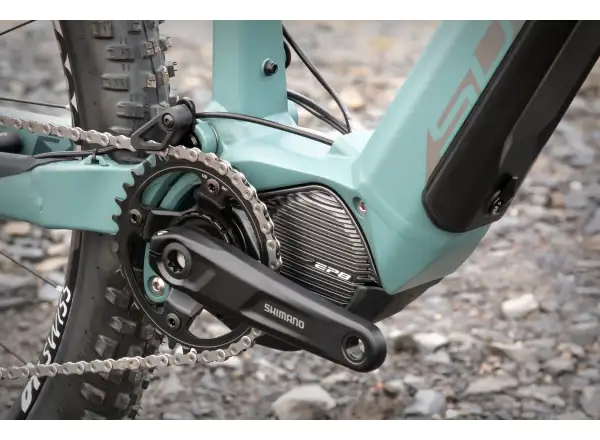 Superior eXF 9049 R mountain e-bike matte trooper green/chrome silver