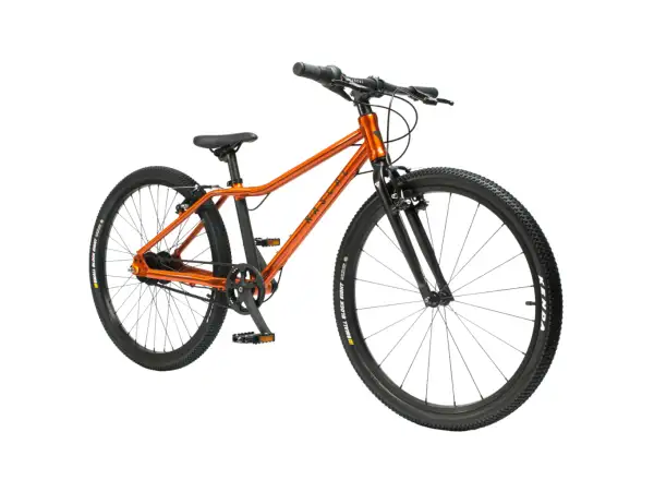 Rascal 24 5 sp. Sturmey Archer children's bike Flame