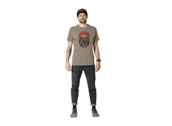 Dynafit Graphic Cotton men's T-shirt short sleeve Fallen Rock/Horizon