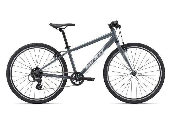 Giant ARX 26 children's bike Ocean Storm