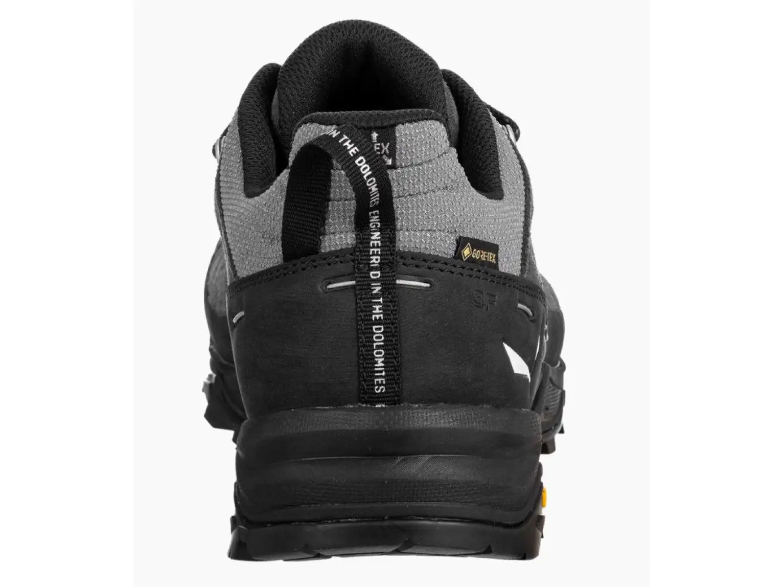 Salewa Alp Trainer 2 GTX men's shoes Onyx Black
